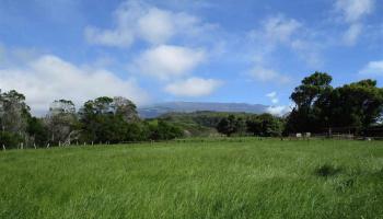 2235 Kaupakalua Rd  , Hi vacant land for sale - photo 2 of 12