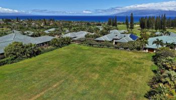 230 Crestview Rd Kapalua  - photo 3 of 20