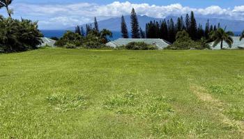 230 Crestview Rd Kapalua  - photo 4 of 20