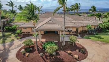 230  Haniu St Launiupoko, Lahaina home - photo 2 of 50