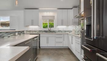 232  Kamahao Cir , Wailuku home - photo 2 of 50