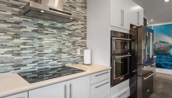 232  Kamahao Cir , Wailuku home - photo 4 of 50