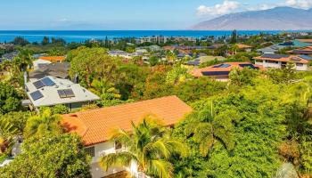 235  Keonekai Rd Keonekai, Kihei home - photo 2 of 50