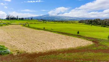 2350 Baldwin Ave Unit A Makawao, Hi vacant land for sale - photo 4 of 10