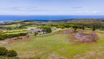 238 Keoawa St HR2, Lot 21 Lahaina, Hi vacant land for sale - photo 2 of 22