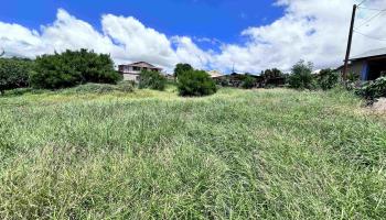 239 Wiliwili Pl  Kaunakakai, Hi vacant land for sale - photo 2 of 9