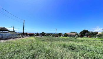 239 Wiliwili Pl  Kaunakakai, Hi vacant land for sale - photo 3 of 9