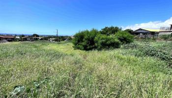 239 Wiliwili Pl  Kaunakakai, Hi vacant land for sale - photo 4 of 9