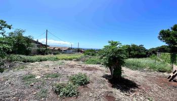 239 Wiliwili Pl  Kaunakakai, Hi vacant land for sale - photo 6 of 9