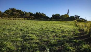 2390 Baldwin Ave Unit A Makawao, Hi vacant land for sale - photo 4 of 8