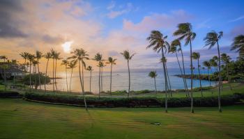 Coconut Grove condo # 24, Lahaina, Hawaii - photo 1 of 36