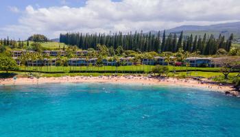 Coconut Grove condo # 24, Lahaina, Hawaii - photo 3 of 33