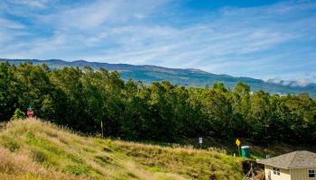 24 Kaalele Pl Lot 336 Kula, Hi vacant land for sale - photo 5 of 15