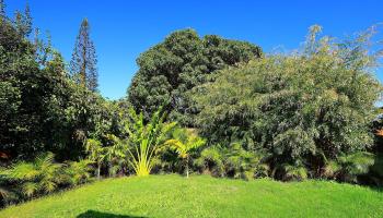 24  Olali St Mahinahina, Napili/Kahana/Honokowai home - photo 6 of 50