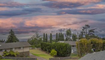24  Palena Pl , Kula/Ulupalakua/Kanaio home - photo 4 of 26