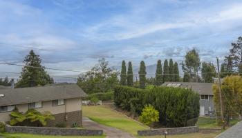 24  Palena Pl , Kula/Ulupalakua/Kanaio home - photo 5 of 26