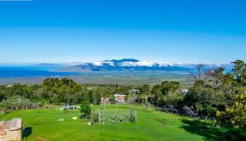 240  Copp Rd , Kula/Ulupalakua/Kanaio home - photo 2 of 27