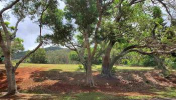 240 Kaunaoa Dr  Lanai City, Hi vacant land for sale - photo 2 of 7