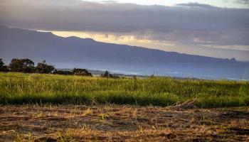 2450 Baldwin Ave Lot 8 Makawao, Hi vacant land for sale - photo 2 of 21