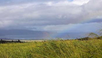 2450 Baldwin Ave Lot 8 Makawao, Hi vacant land for sale - photo 3 of 21