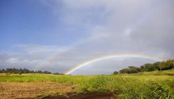 2450 Baldwin Ave Lot 8 Makawao, Hi vacant land for sale - photo 4 of 21