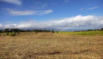 2450 Baldwin Ave Lot 8 Makawao, Hi vacant land for sale - photo 5 of 21