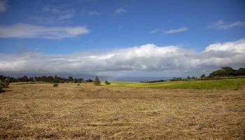 2450 Baldwin Ave Lot 8 Makawao, Hi vacant land for sale - photo 6 of 21