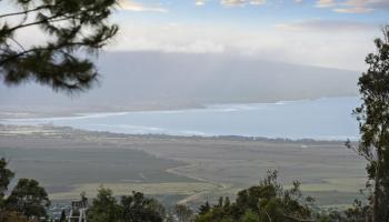 2450  Piiholo Rd Piiholo, Makawao/Olinda/Haliimaile home - photo 4 of 39