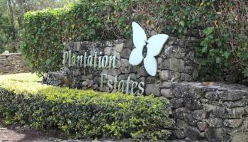 246 Keoawa St LOT 23 Lahaina, Hi vacant land for sale - photo 2 of 23