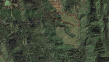 246 Keoawa St LOT 23 Lahaina, Hi vacant land for sale - photo 3 of 23