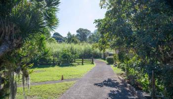 2475  Kaupakalua Rd Haiku, Haiku home - photo 5 of 28