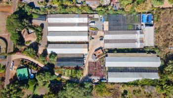 248  Piliwale Rd , Kula/Ulupalakua/Kanaio home - photo 2 of 22