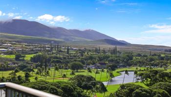 Whaler II condo # 1165, Lahaina, Hawaii - photo 5 of 42