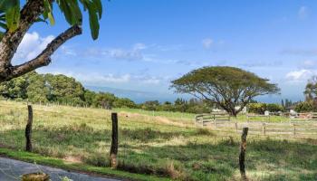 2481  Liliko'i Rd , Haiku home - photo 2 of 45