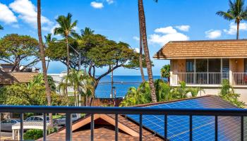 Kihei Kai Nani condo # 248, Kihei, Hawaii - photo 4 of 31