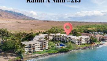 Kanai A Nalu condo # 215, Wailuku, Hawaii - photo 4 of 30