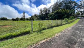 2520 Pololei Pl  Haiku, Hi vacant land for sale - photo 3 of 5