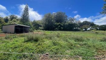 2520 Pololei Pl  Haiku, Hi vacant land for sale - photo 4 of 5