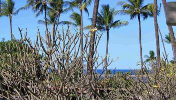 Kihei Akahi condo # C-210, Kihei, Hawaii - photo 2 of 30