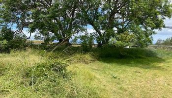 2533 Lower Kula Rd 1 Kula, Hi 96790 vacant land - photo 3 of 8 2533 Lower Kula Rd 1 Kula, Hi 96790 vacant land - photo 3 of 8