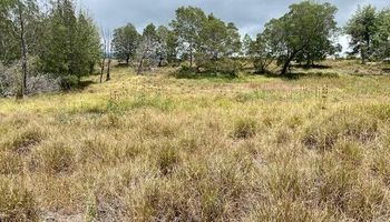 2533 Lower Kula Rd 1 Kula, Hi 96790 vacant land - photo 4 of 8 2533 Lower Kula Rd 1 Kula, Hi 96790 vacant land - photo 4 of 8