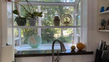 2559  Mokuhau Rd , Wailuku home - photo 5 of 16