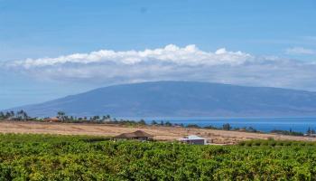 2575 Aina Mahiai St  Lahaina, Hi vacant land for sale - photo 4 of 14