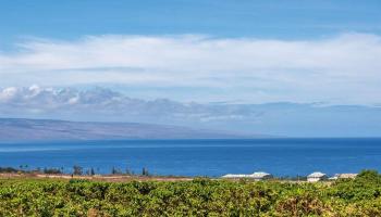 2575 Aina Mahiai St  Lahaina, Hi vacant land for sale - photo 5 of 14