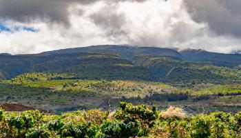 2575 Aina Mahiai St  Lahaina, Hi vacant land for sale - photo 6 of 14