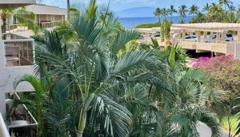 Photo of Maui Banyan