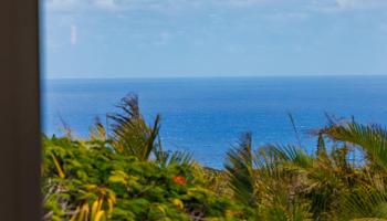 2576  Alohia Pl , Haiku home - photo 2 of 46