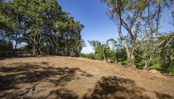 2597 Ala Olu Pl B Haiku, Hi vacant land for sale - photo 1 of 12