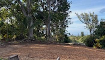 2597 Ala Olu Pl B Haiku, Hi vacant land for sale - photo 6 of 12