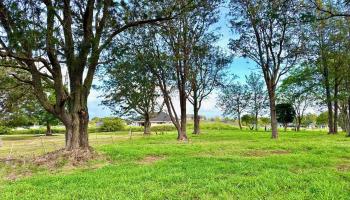 26 Kula Hwy Unit A Pukalani, Hi vacant land for sale - photo 2 of 32